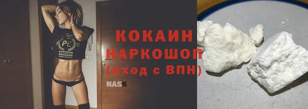 ГАЛЛЮЦИНОГЕННЫЕ ГРИБЫ Гусь-Хрустальный