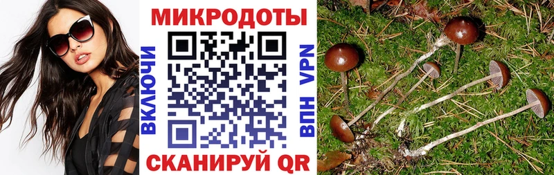 Купить где  Светогорск  Галлюциногенные грибы мухоморы 
